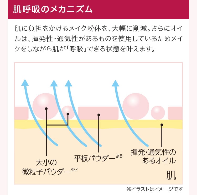 肌呼吸のメカニズム