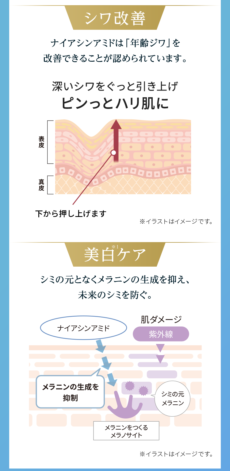 シワ改善 ナイアシンアミドは「年齢ジワ」を改善できることが認められています。深いシワをぐっと引き上げピンっとハリ肌に 美白※1ケア シミの元となくメラニンの生成を抑え、未来のシミを防ぐ。