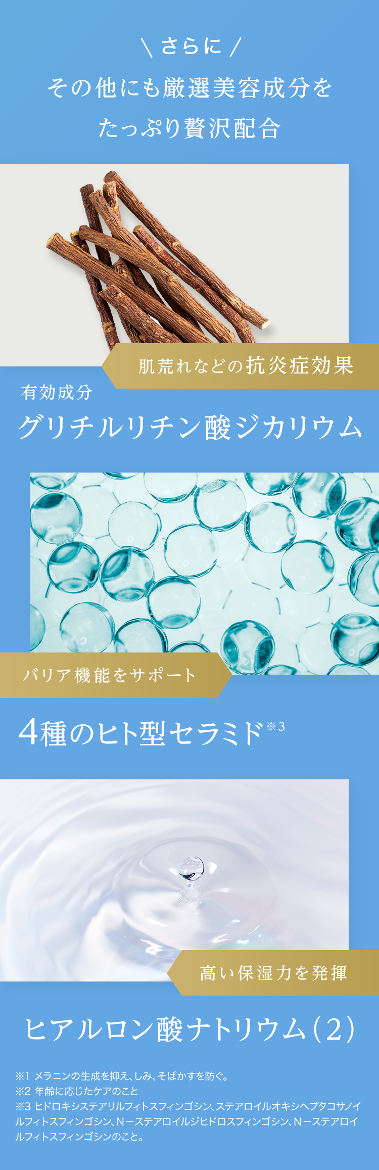 さらに その他にも厳選美容成分をたっぷり贅沢配合